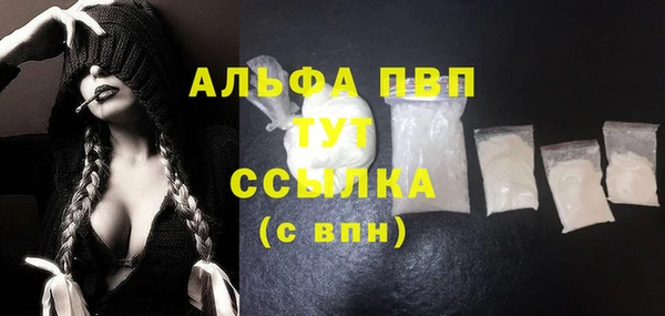 гидра Алексеевка