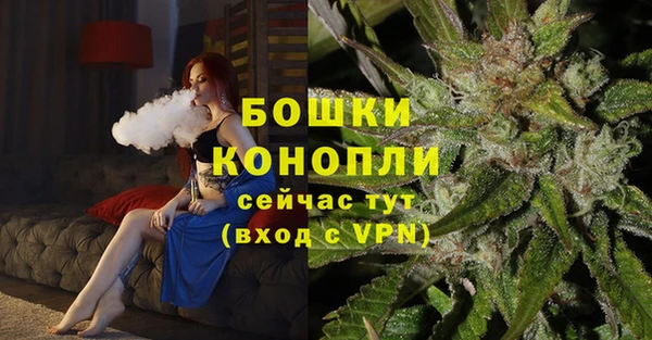 гидра Алексеевка