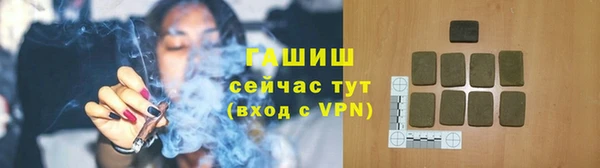 гидра Алексеевка