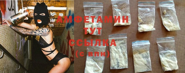крисы Алексин