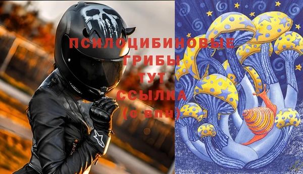 крисы Алексин