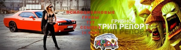 крисы Алексин