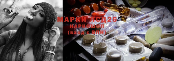 скорость Алзамай