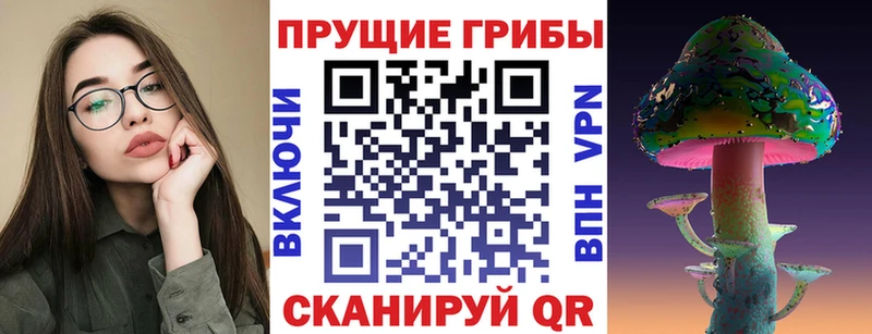 Псилоцибиновые грибы Psilocybine cubensis  гидра ССЫЛКА  Жуков  что такое  